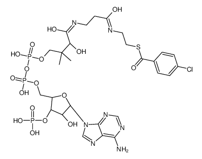 4-chlorobenzoyl-CoA Structure