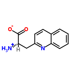 3-Quinolin-2-yl-L-alanine picture