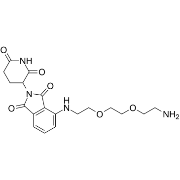 Thalidomide-NH-PEG2-C2-NH2图片