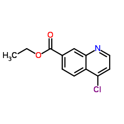 Ethyl 4-chloroquinoline-7-carboxylate structure