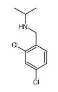 N-[(2,4-dichlorophenyl)methyl]propan-2-amine结构式