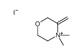 4,4-dimethyl-3-methylidenemorpholin-4-ium,iodide Structure