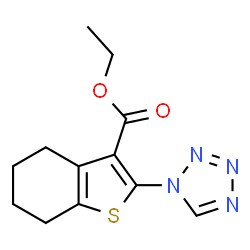 2-Tetrazol-1-yl-4,5,6,7-tetrahydro-benzo[b]thiop结构式