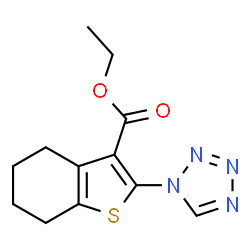 2-Tetrazol-1-yl-4,5,6,7-tetrahydro-benzo[b]thiop图片