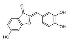 2-[(3,4-dihydroxyphenyl)methylidene]-6-hydroxy-1-benzofuran-3-one Structure