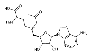 S-adenosyl-S-(propan-2-one)-L-methionine Structure