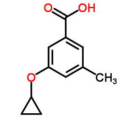 3-cyclopropoxy-5-methylbenzoic acid picture