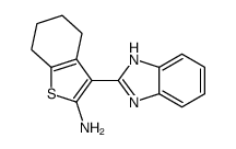 3-(1H-BENZOIMIDAZOL-2-YL)-4,5,6,7-TETRAHYDRO-BENZO[B]THIOPHEN-2-YLAMINE picture