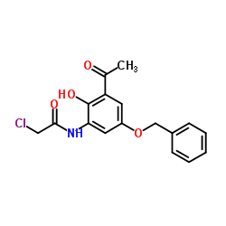 N-(3-Acetyl-5-(benzyloxy)-2-hydroxyphenyl)-2-chloroacetamide picture