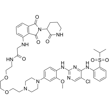 TL 13-22 structure