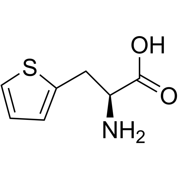 3-(2-Thienyl)-L-alanine Structure