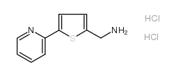 (5-pyridin-2-ylthiophen-2-yl)methanamine,dihydrochloride Structure