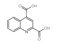 2,4-Quinolinedicarboxylicacid structure