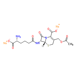 Cephalosporin C Na salt structure