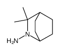 2-amino-3,3-dimethyl-2-azabicyclo[2.2.2]octane Structure