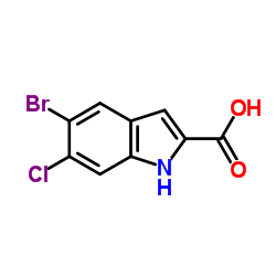 5-Bromo-6-chloro-1H-indole-2-carboxylic acid picture