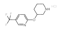 2-(3-Piperidinyloxy)-5-(trifluoromethyl)pyridine hydrochloride结构式