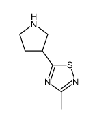 3-[5-(3-methyl-1,2,4-thiadiazol)-yl]pyrrolidine Structure