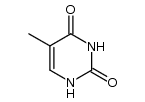 thymine anion radical结构式