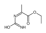 Propanoic acid, 2-[(aminocarbonyl)imino]-, ethyl ester (9CI) Structure