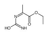 Propanoic acid, 2-[(aminocarbonyl)imino]-, ethyl ester (9CI) structure