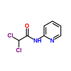 2,2-Dichloro-N-(2-pyridinyl)acetamide结构式