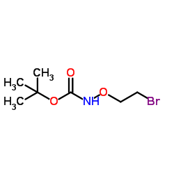 2-Methyl-2-propanyl (2-bromoethoxy)carbamate结构式