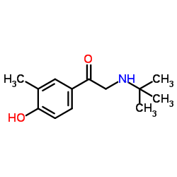 1-(4-Hydroxy-3-methylphenyl)-2-[(2-methyl-2-propanyl)amino]ethanone Structure