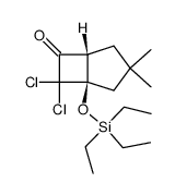 7,7-dichloro-3,3-dimethyl-1-(triethylsiloxy)bicyclo[3.2.0]heptan-6-one Structure