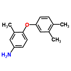 4-(3,4-Dimethylphenoxy)-3-methylaniline Structure