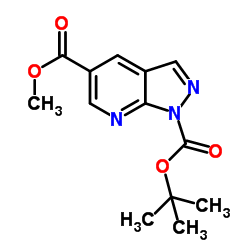 5-Methyl 1-(2-methyl-2-propanyl) 1H-pyrazolo[3,4-b]pyridine-1,5-dicarboxylate结构式