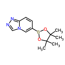 6-(4,4,5,5-tetramethyl-1,3,2-dioxaborolan-2-yl)-[1,2,4]triazolo[4,3-a]pyridine picture