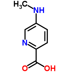 5-(Methylamino)-2-pyridinecarboxylic acid Structure