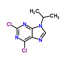 2,6-二氯-9-异丙基-9h-嘌呤结构式