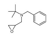 N-tert-butyl-N-(2,3-epoxypropyl)benzylamine Structure