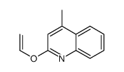 2-ethenoxy-4-methylquinoline Structure