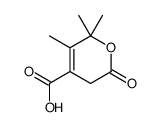 5,6,6-trimethyl-2-oxo-3H-pyran-4-carboxylic acid Structure
