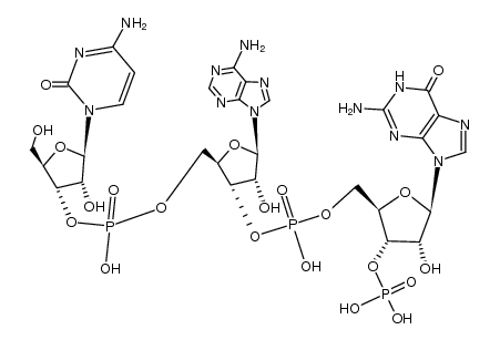 5'-CAGp-3' Structure