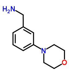 (3-吗啉苯基)甲胺图片