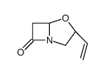(3R,5S)-3-ethenyl-4-oxa-1-azabicyclo[3.2.0]heptan-7-one Structure