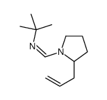 N-tert-butyl-1-(2-prop-2-enylpyrrolidin-1-yl)methanimine结构式