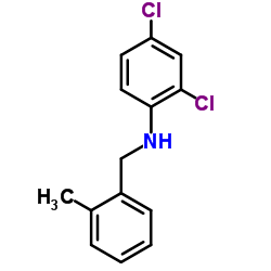 2,4-Dichloro-N-(2-methylbenzyl)aniline结构式