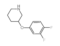 3-(3,4-二氟苯氧基)哌啶结构式