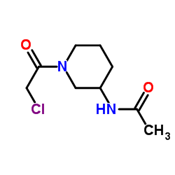 N-[1-(Chloroacetyl)-3-piperidinyl]acetamide Structure