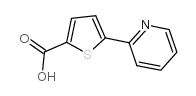 5-(吡啶-2-基)噻吩-2-羧酸图片