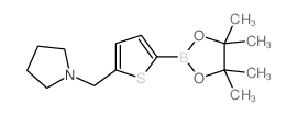 1-((5-(4,4,5,5-TETRAMETHYL-1,3,2-DIOXABOROLAN-2-YL)THIOPHEN-2-YL)METHYL)PYRROLIDINE structure