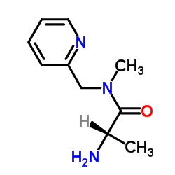 N-Methyl-N-(2-pyridinylmethyl)alaninamide Structure