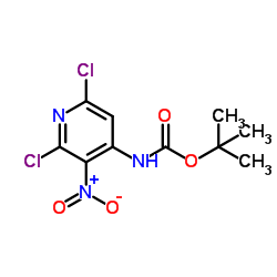 tert-butyl (2,6-dichloro-3-nitropyridin-4-yl)carbamate picture