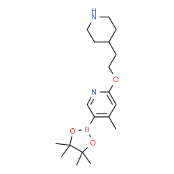 4-Methyl-2-(2-(piperidin-4-yl)ethoxy)-5-(4,4,5,5-tetramethyl-1,3,2-dioxaborolan-2-yl)pyridine structure