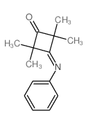 Cyclobutanone,2,2,4,4-tetramethyl-3-(phenylimino)- Structure